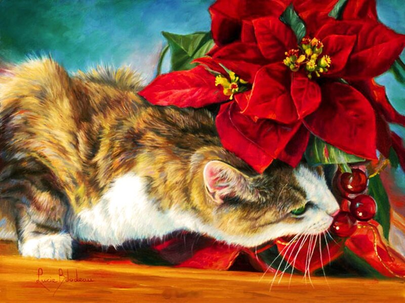Calico Cat with Poinsettia
