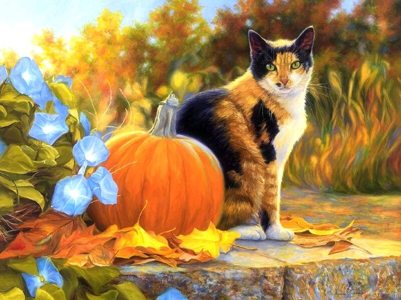 Calico Cat with Pumpkin — Orange