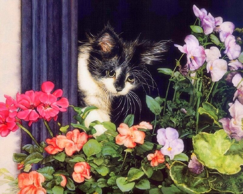 Calico Kitten in Flowers — Green, Serene