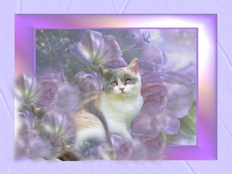 Calico Kitten in Flowers — Purple