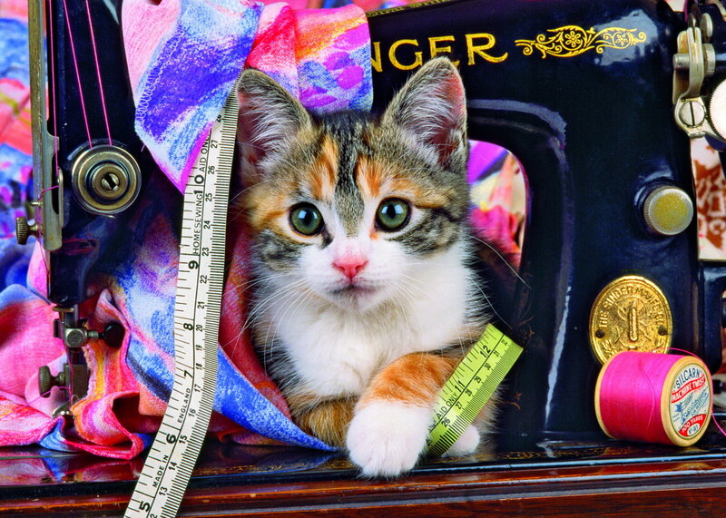 Calico Kitten in Sewing Machine