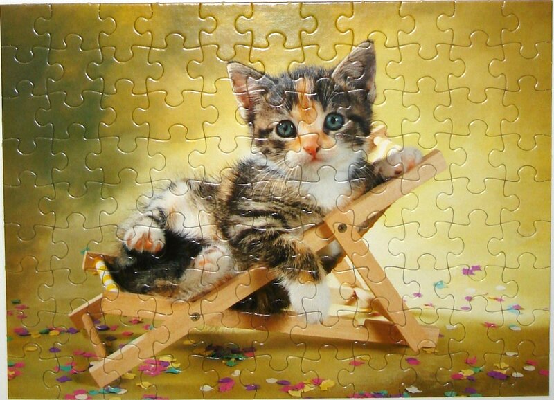 Calico Kitten on Chair