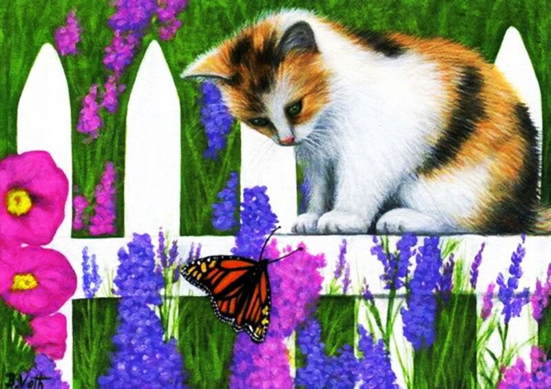 Calico Kitten on Fence — White