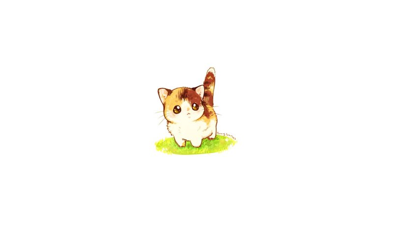 Calico Kitten on Grass — White