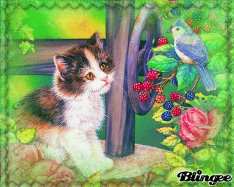 Calico Kitten with Bird — Green, Peaceful, Spring