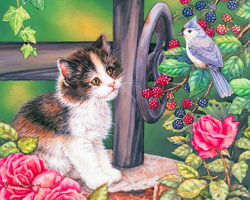 Calico Kitten with Bird — Green, Peaceful