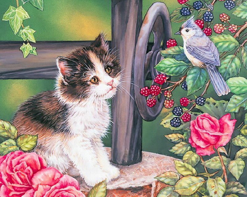 Calico Kitten with Bird — Green, Serene