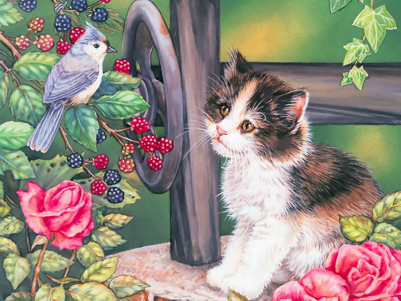Calico Kitten with Bird
