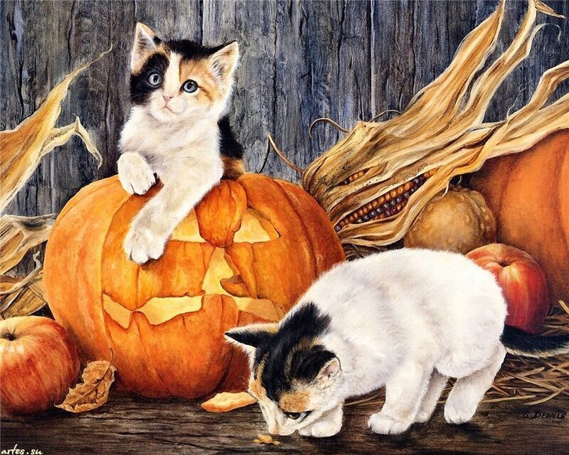 Calico Kittens with Pumpkins — Orange
