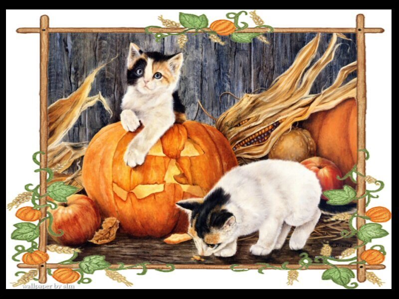 Calico Kittens with Pumpkins