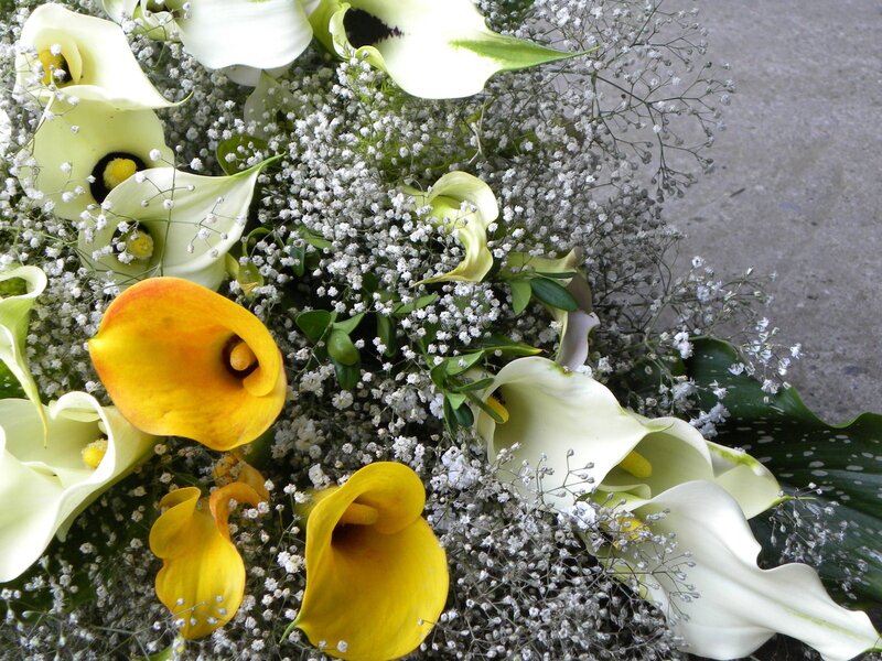 Calla Lilies and Baby's Breath