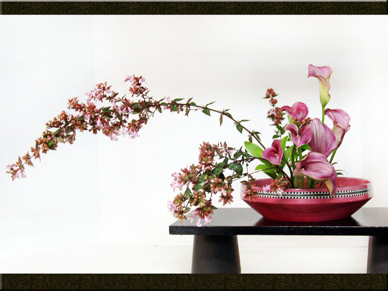 Calla Lilies and Flowering Branch