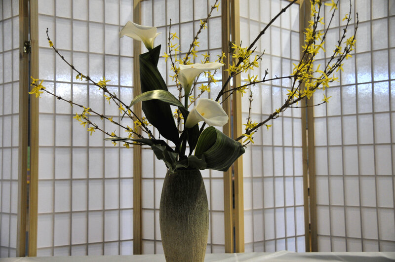 Calla Lilies and Forsythia