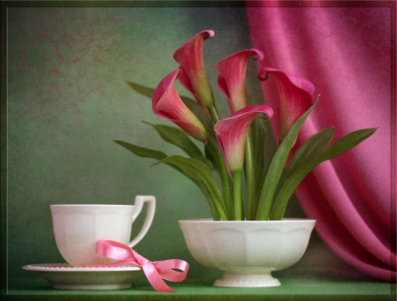 Calla Lilies in a Bowl
