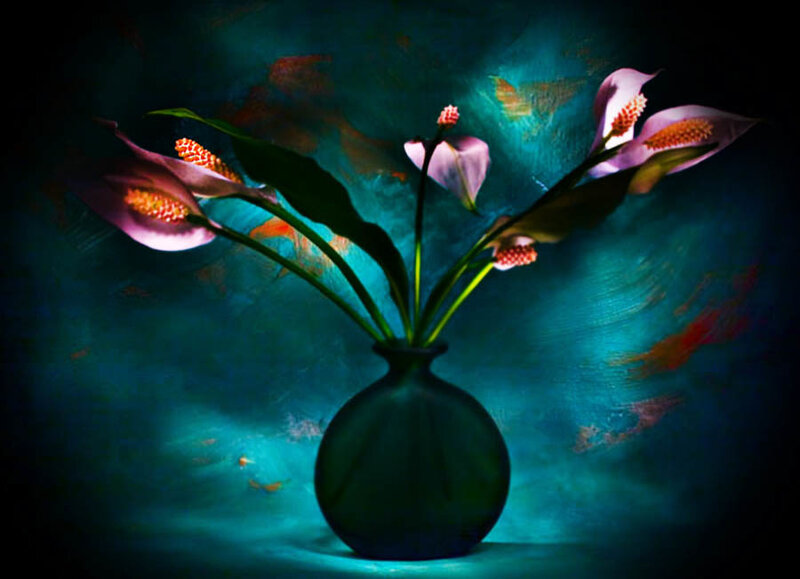 Calla Lilies in Vase