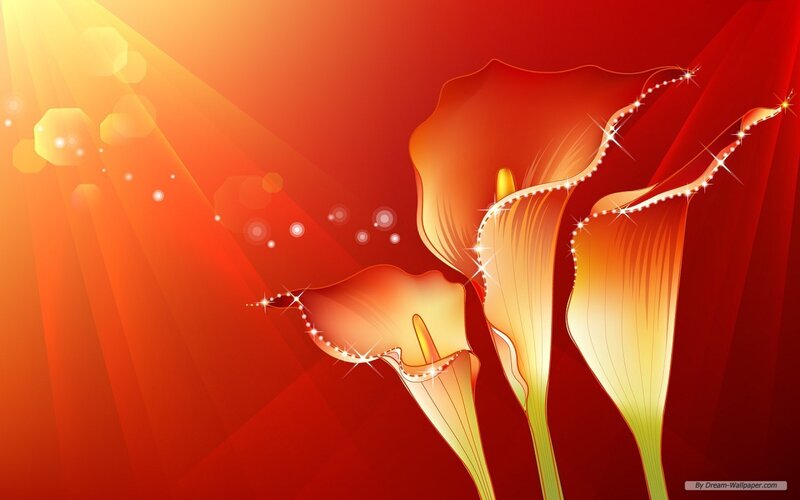 Calla Lilies on Red Background