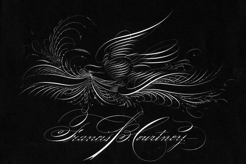 Calligraphic bird illustration