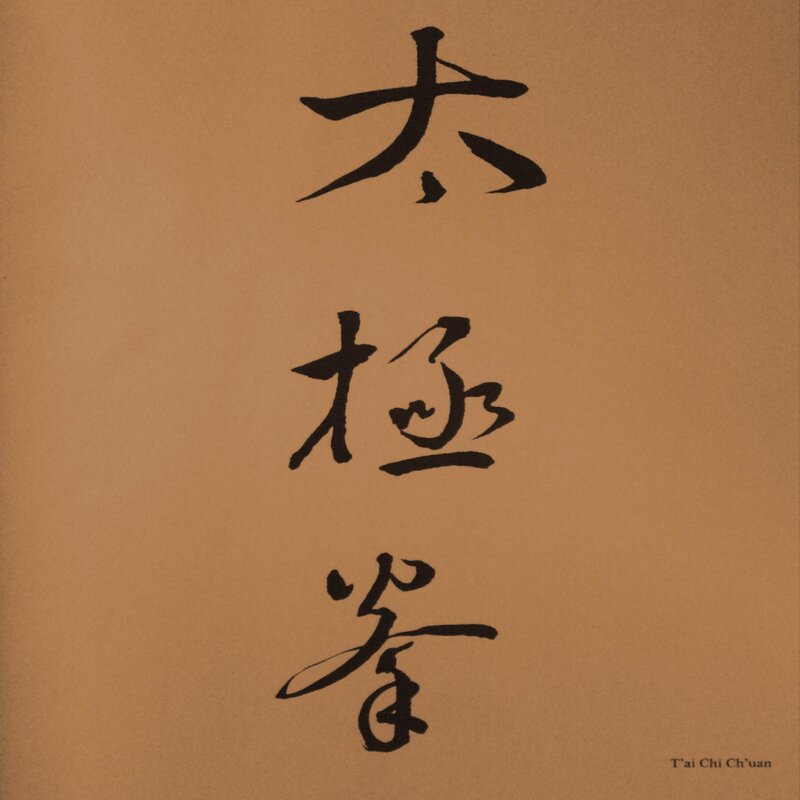 Calligraphy on Paper — Brown