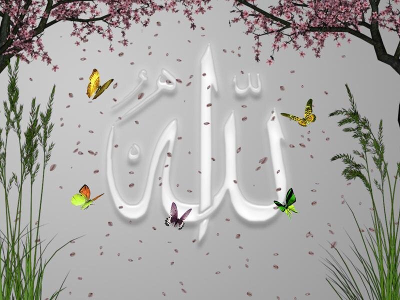 Calligraphy with Butterflies