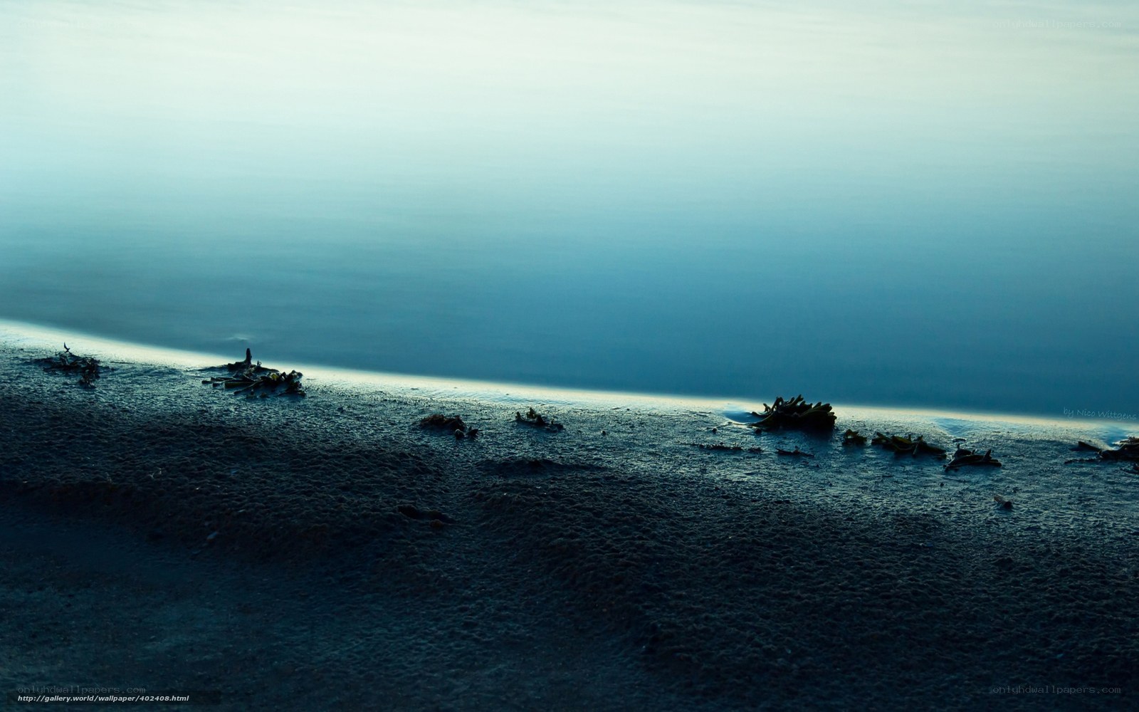 calm beach at dawn
