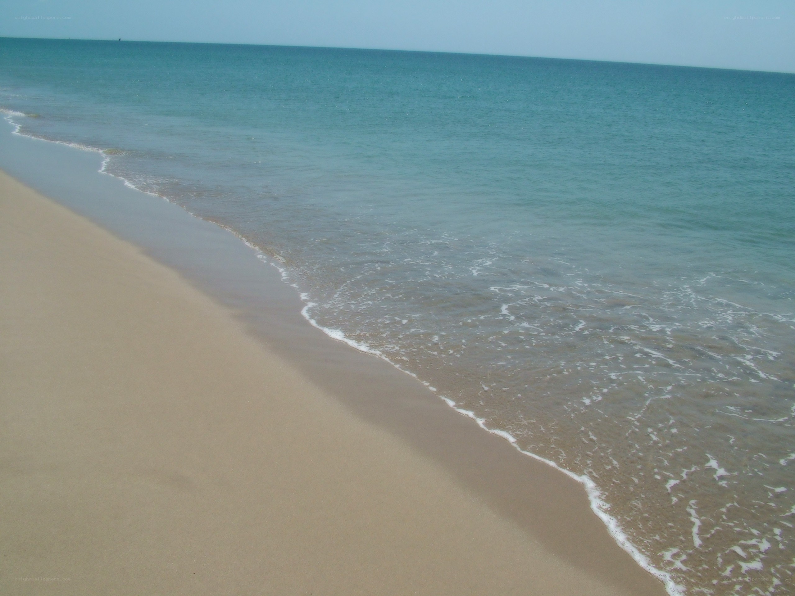 calm beach with gentle waves