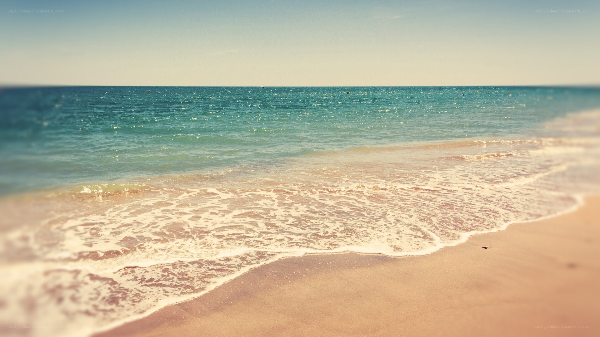 calm beach with gentle waves