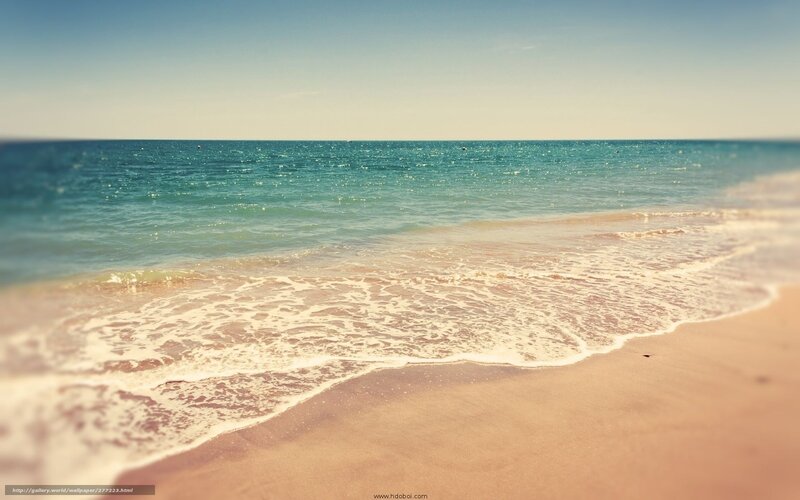 calm beach with gentle waves