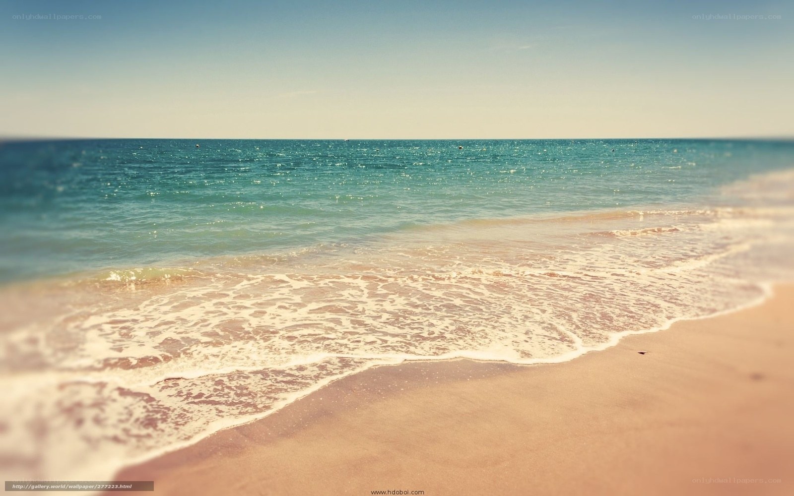 calm beach with gentle waves