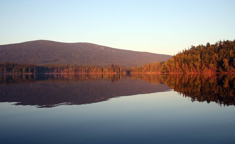Calm Lake and Forest