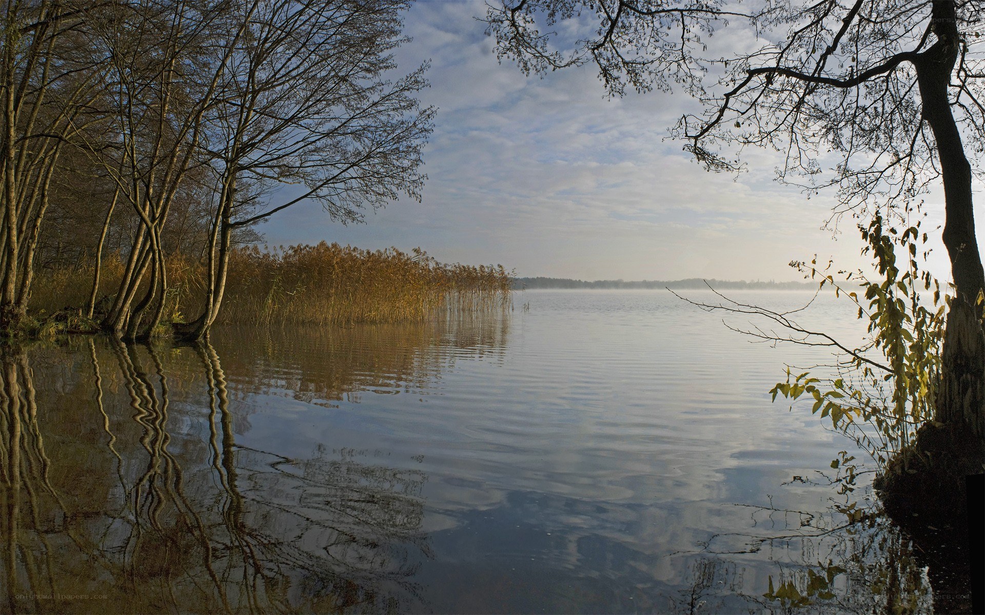 Calm lake at dawn