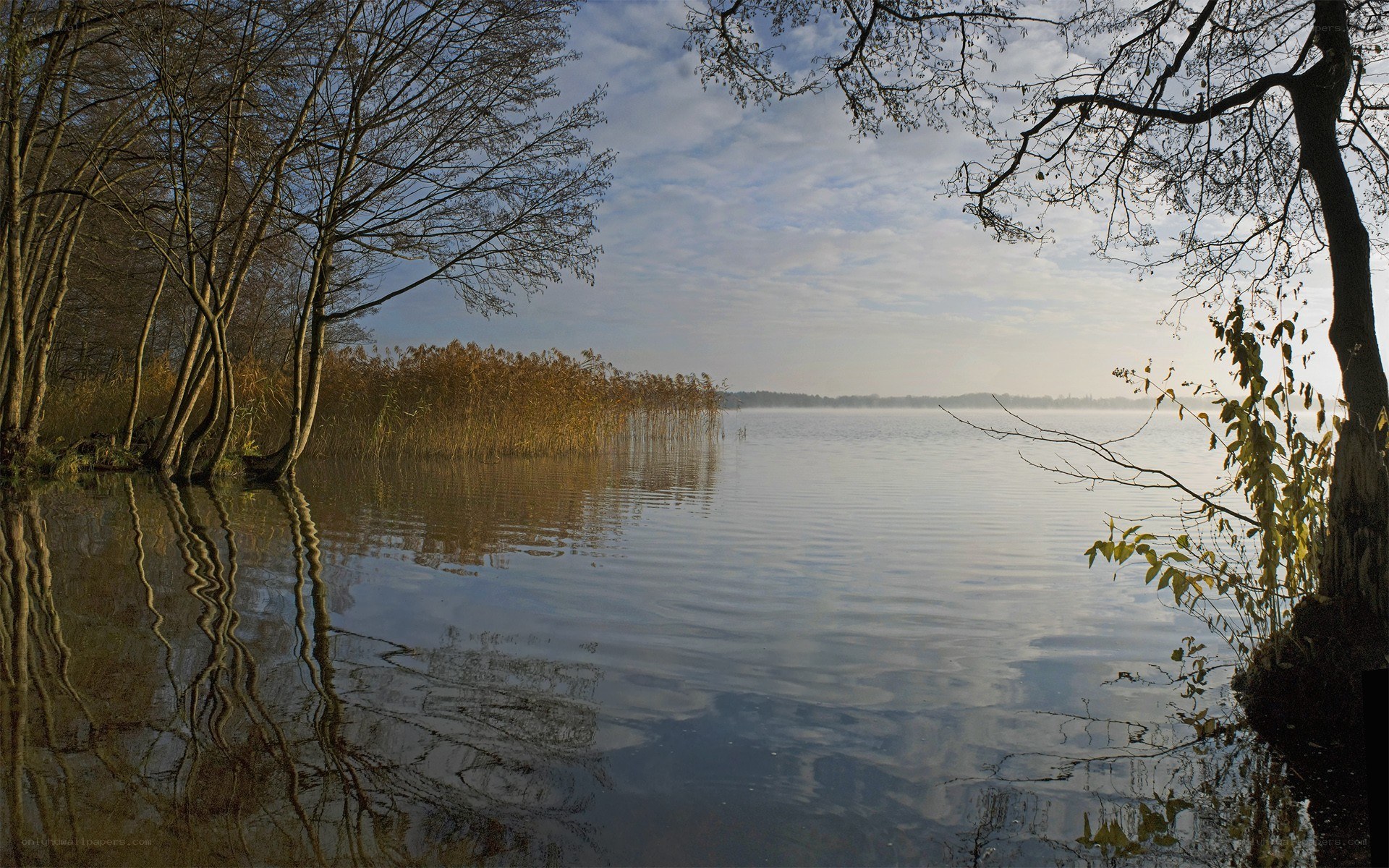 Calm lake at dawn