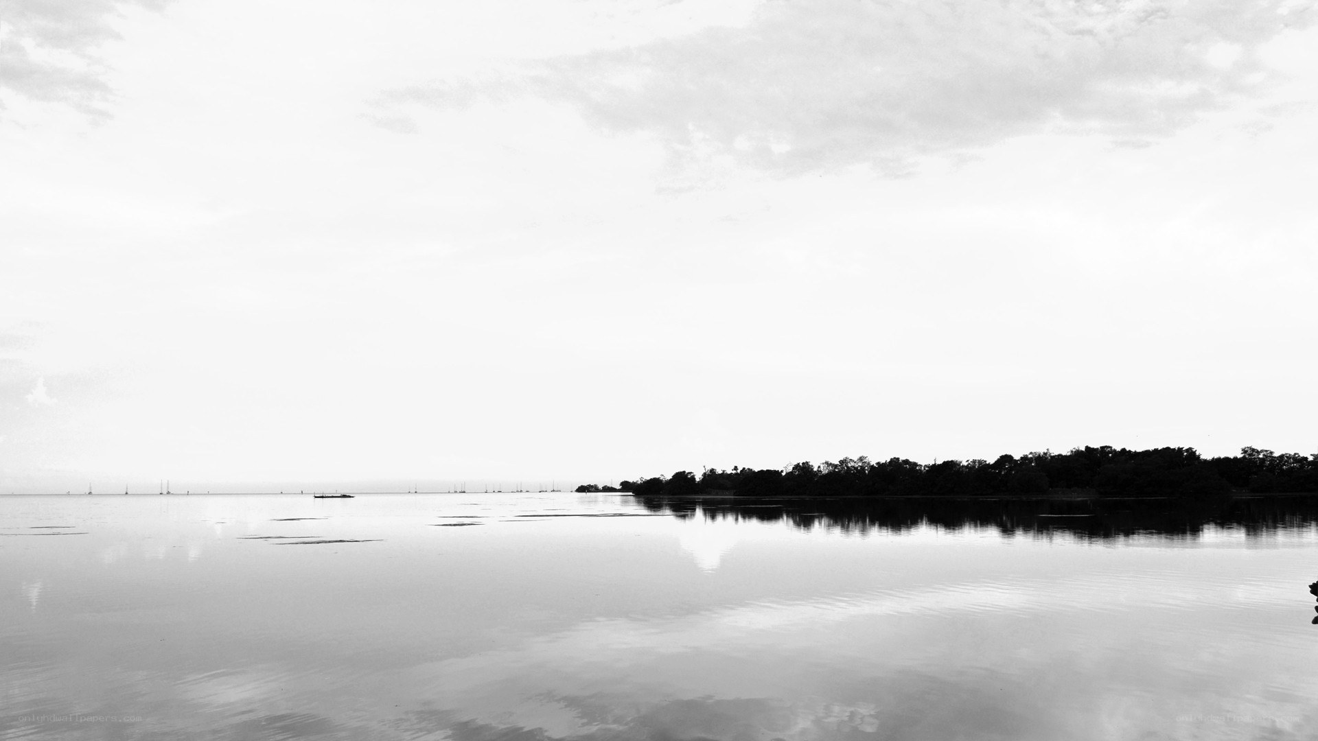 calm lake at dawn