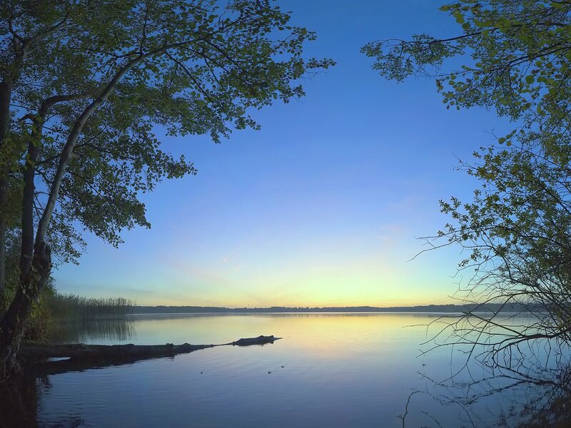 Calm Lake at Dawn — Blue, Serene, Photograph, Trees