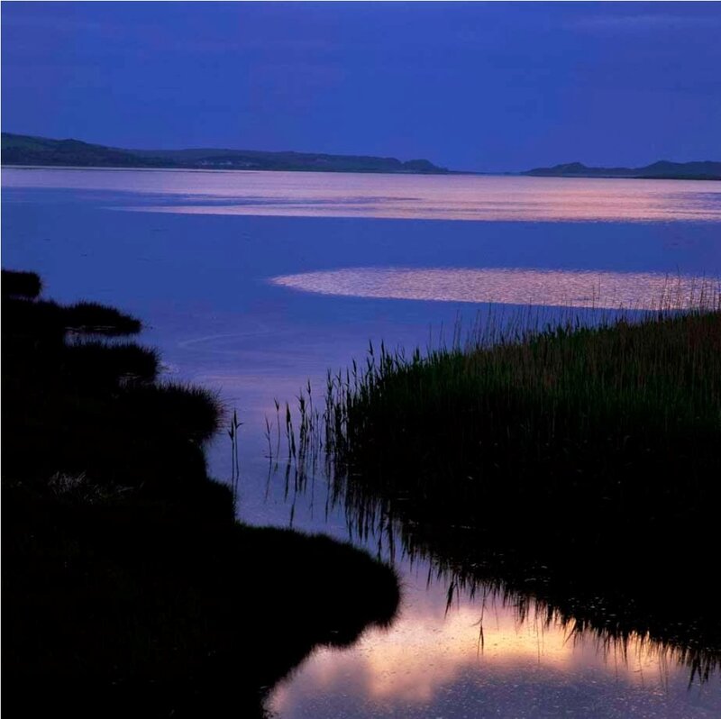 Calm Lake at Dusk — Blue, Serene, Sunset, Photograph, Reeds
