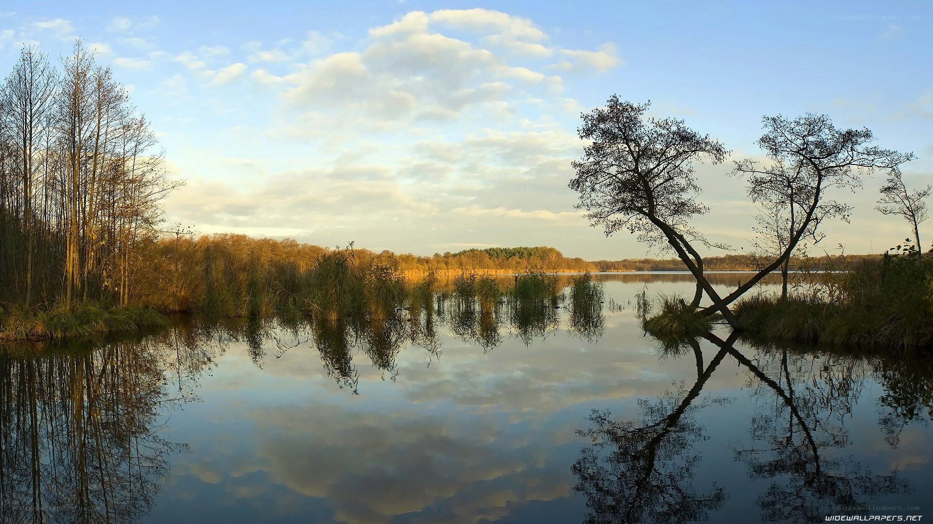 Calm lake at sunset