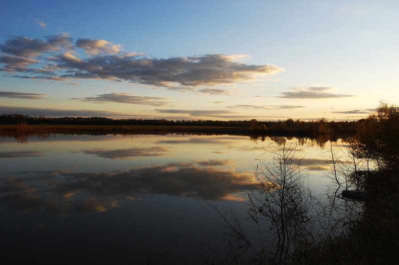 Calm Lake at Sunset — Blue, Serene, Photograph, Sky, Clouds, Trees