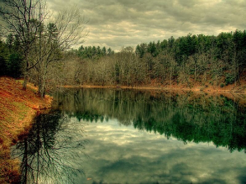 Calm lake in autumn forest