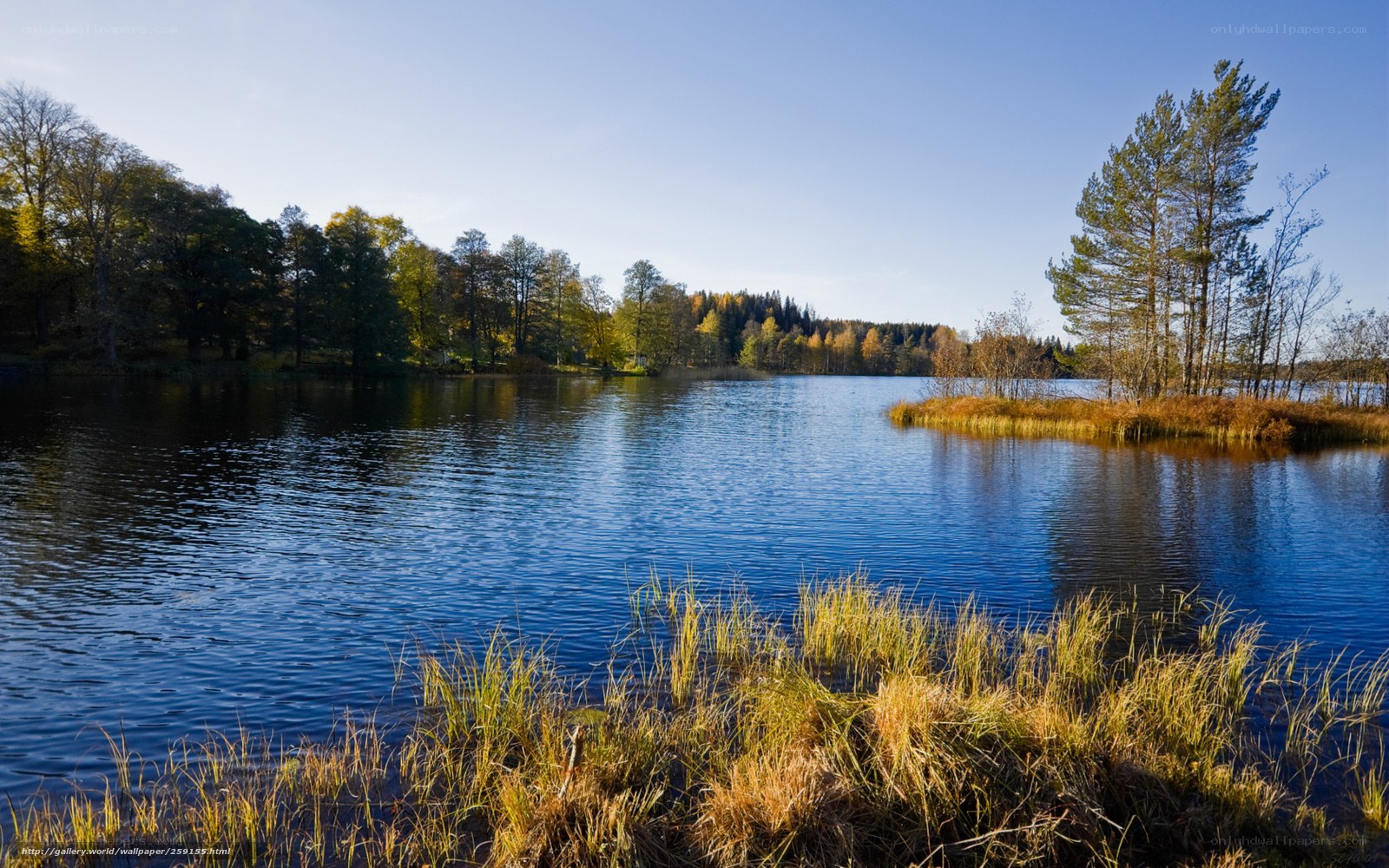 Calm lake in autumn