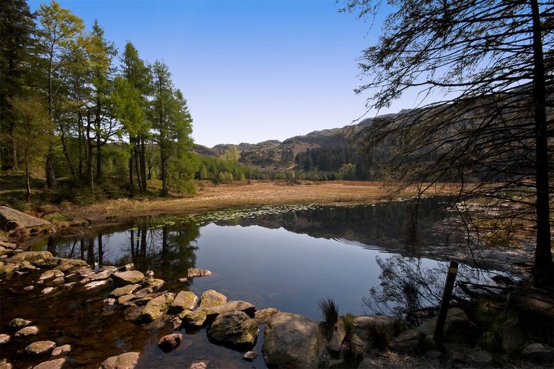 Calm Lake in Forest — Blue, Serene, Afternoon, Photograph