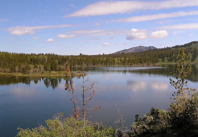 Calm Lake in Forest — Blue