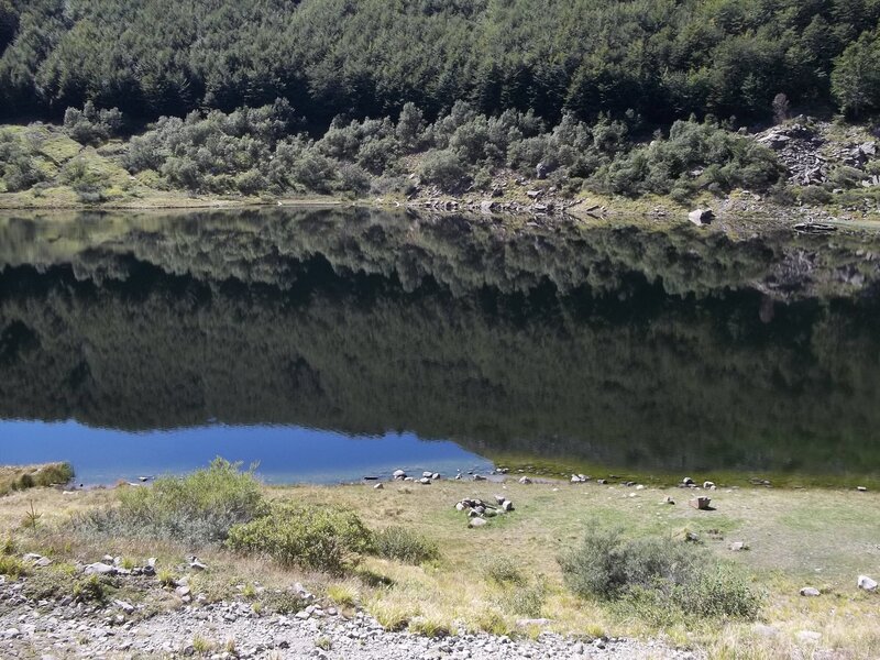 Calm Lake in Forest — Green, Serene, Afternoon, Photograph, Rocks