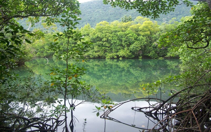 Calm Lake in Forest — Green, Serene, Afternoon, Photograph