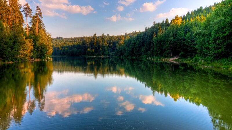 Calm Lake in Forest — Green, Serene, Afternoon, Photograph, Trees, Sky, Clouds