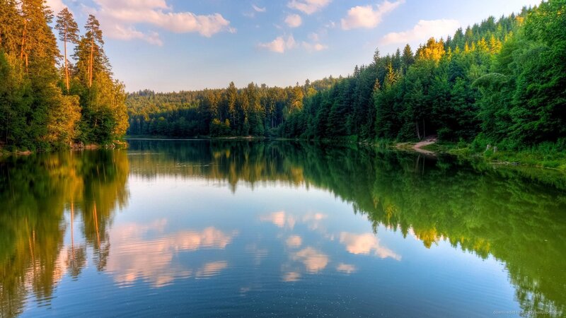 Calm Lake in Forest — Green, Serene, Afternoon, Photograph, Trees