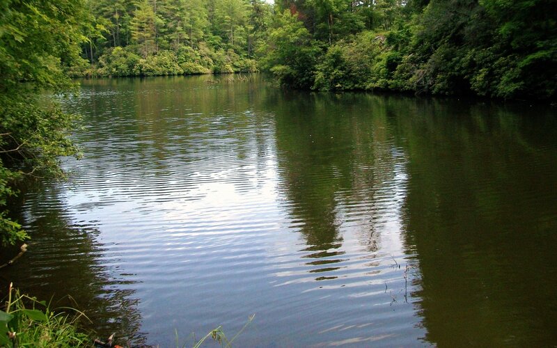 Calm Lake in Forest — Green, Serene, Afternoon