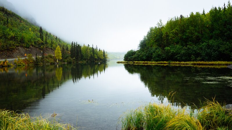 Calm Lake in Forest — Green, Serene, Morning, Photograph