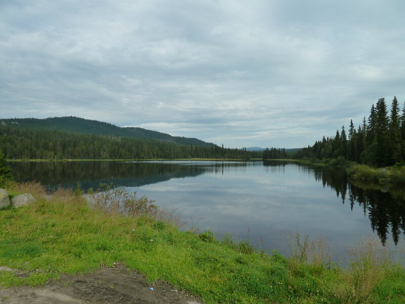 Calm Lake in Forest — Green, Serene, Morning