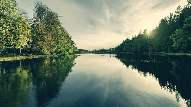 Calm Lake in Forest — Green, Serene, Sunset
