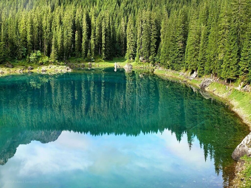Calm lake in forest
