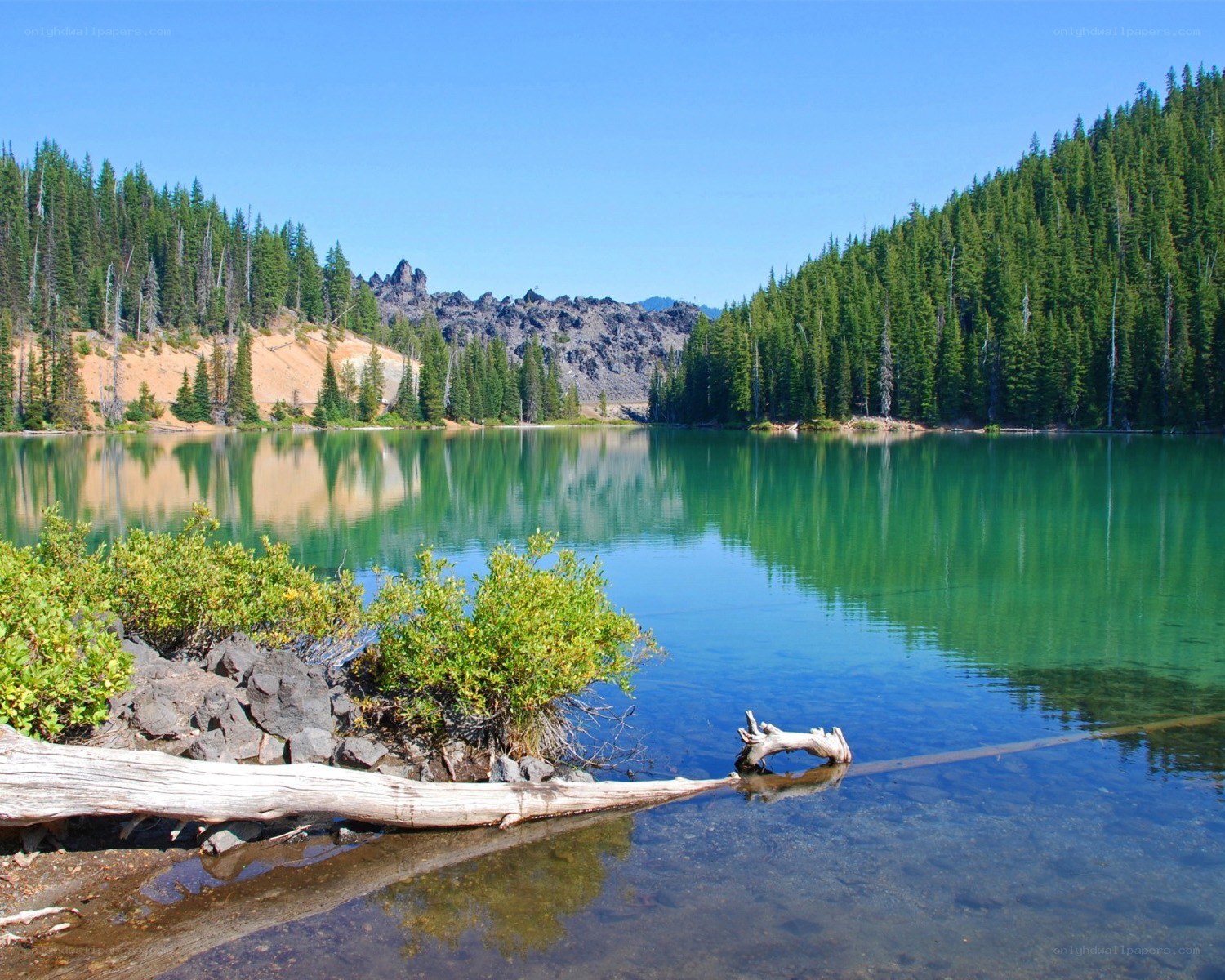 Calm lake in forested mountains